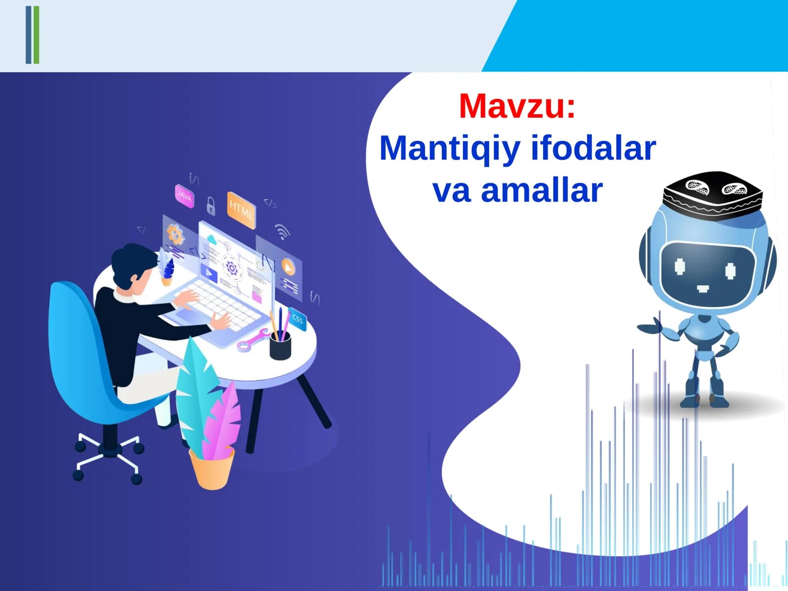 Mantiqiy ifodalar  va amallar.