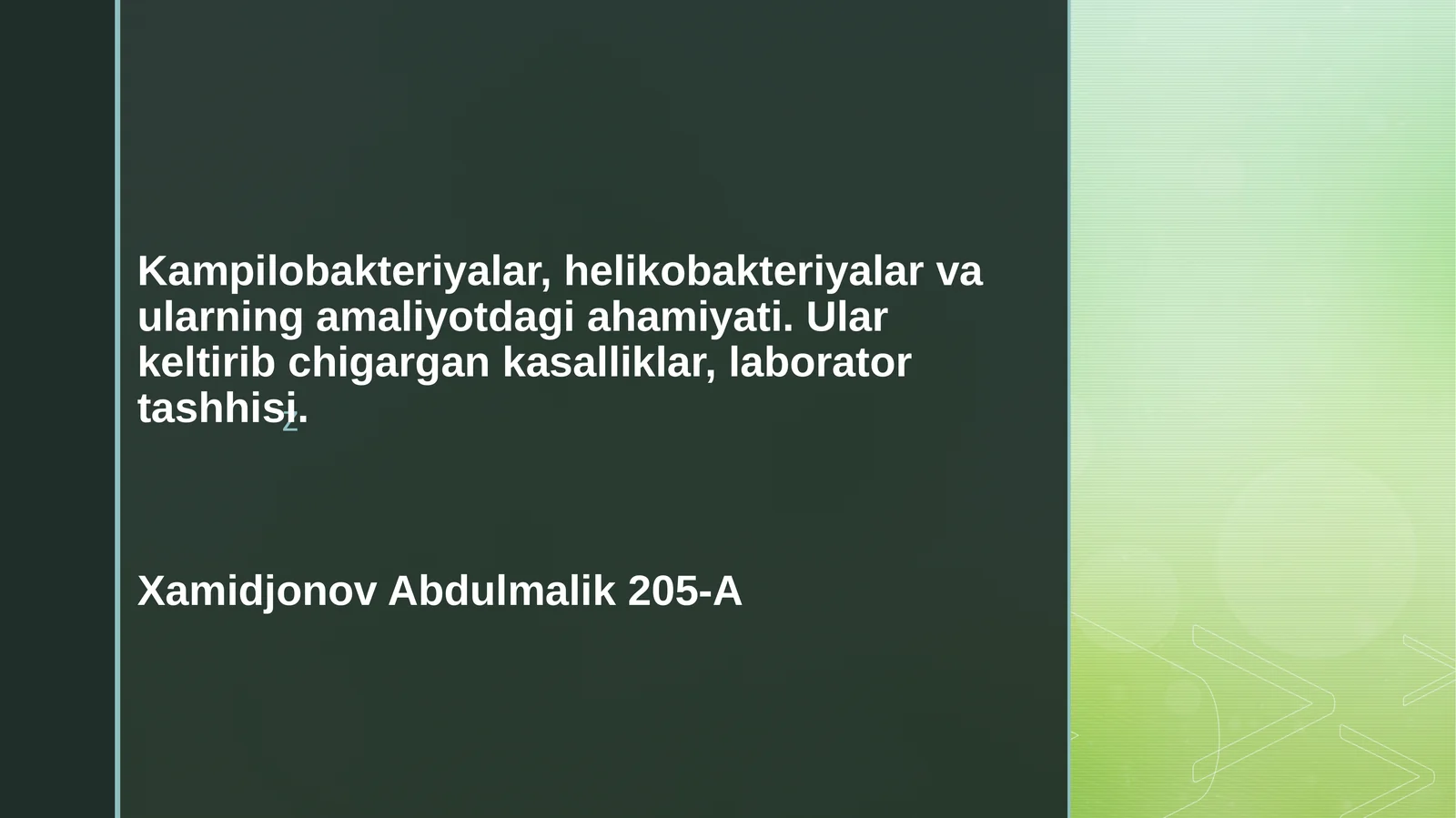 Kampilobakteriyalar, helikobakteriyalar va ularning amaliyotdagi ahamiyati. Ularning keltirib chiqargan kasalliklar, laborator tashxisi