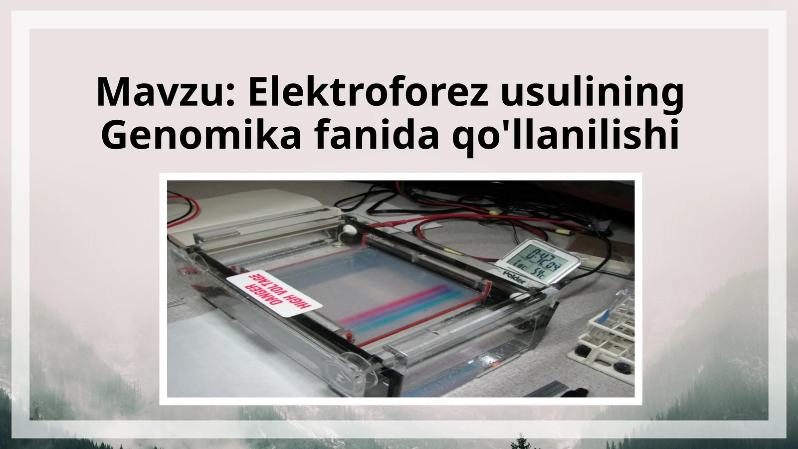 Elektroforez usulining Genomika fanida qo'llanilishi