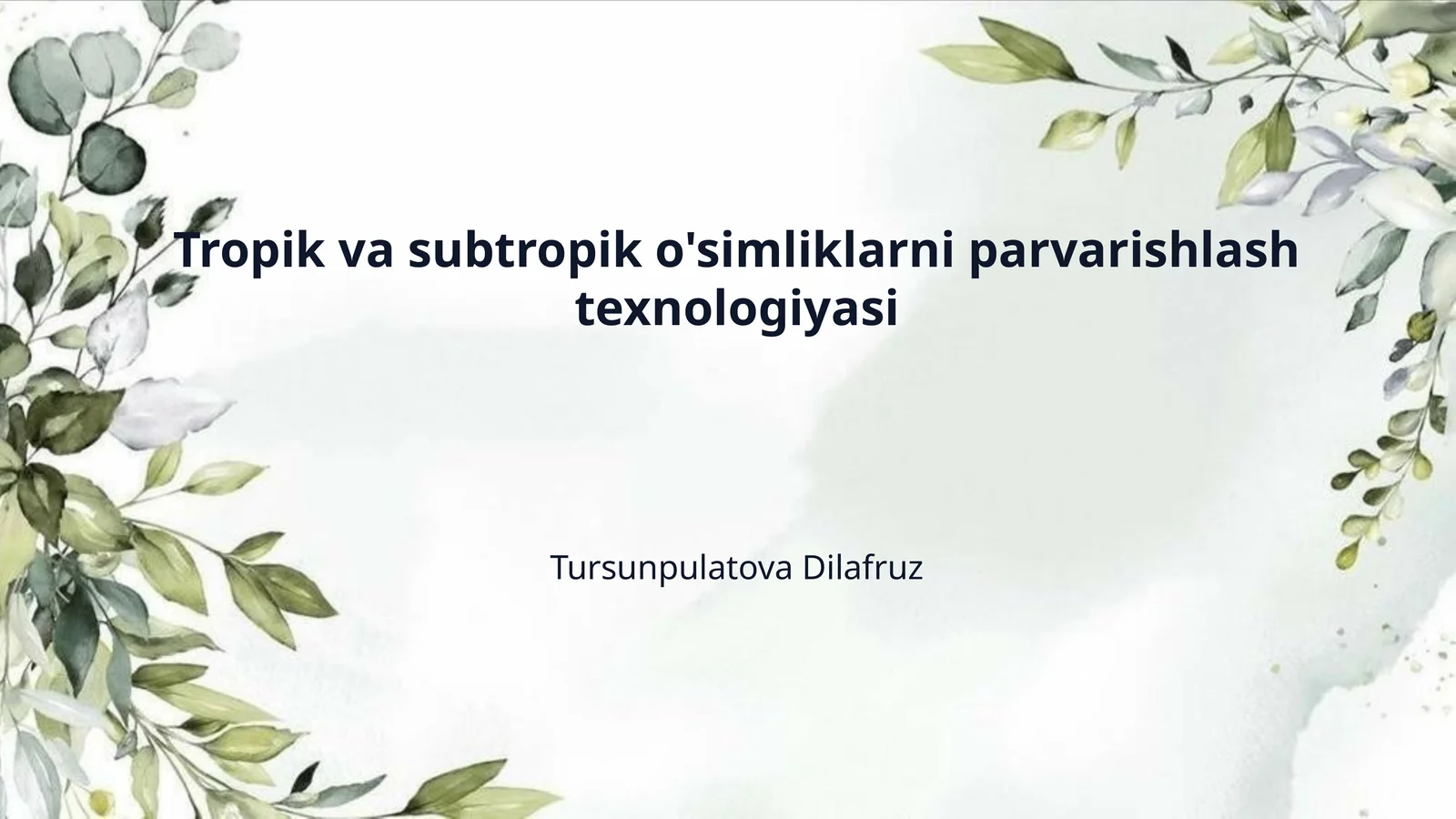 Tropik va subtropik o'simliklarni parvarishlash texnologiyasi