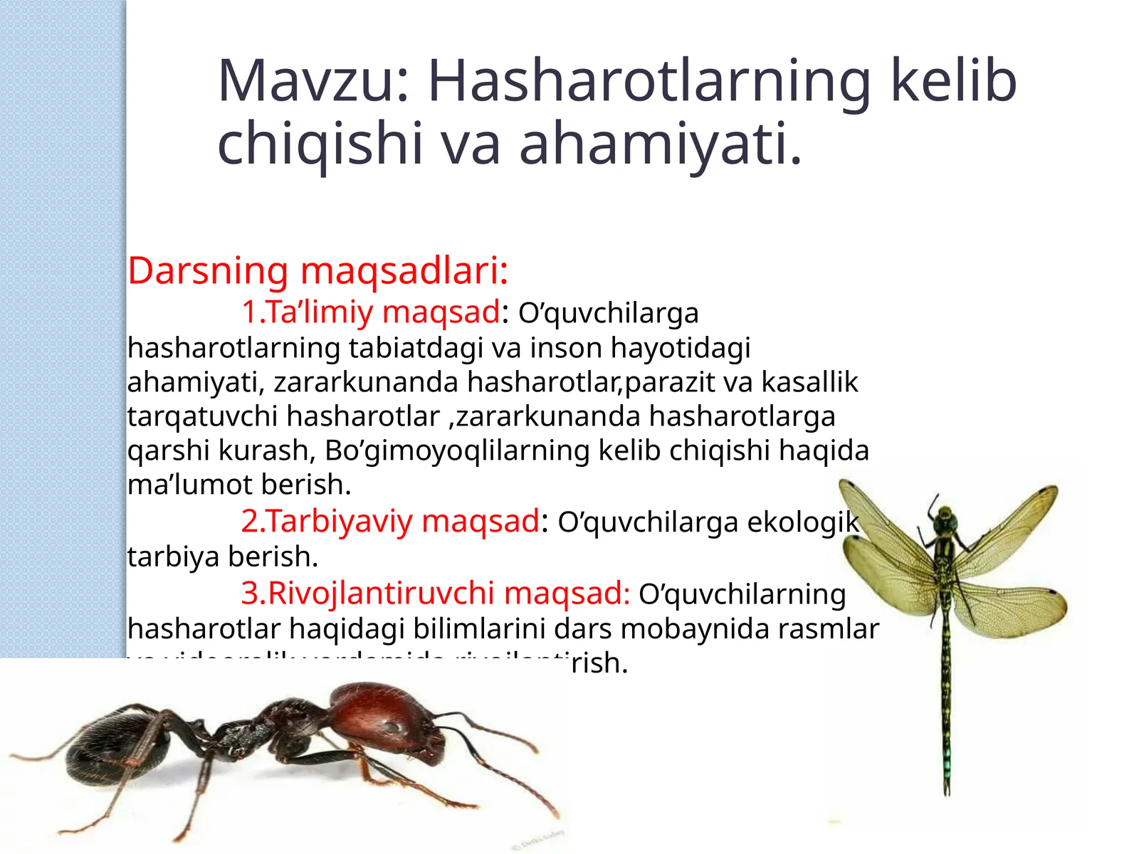 Hasharotlarning kelib chiqishi va ahamiyati