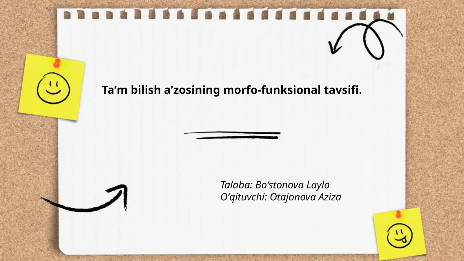 Taʼm bilish aʼzosining morfo-funksional tavsifi