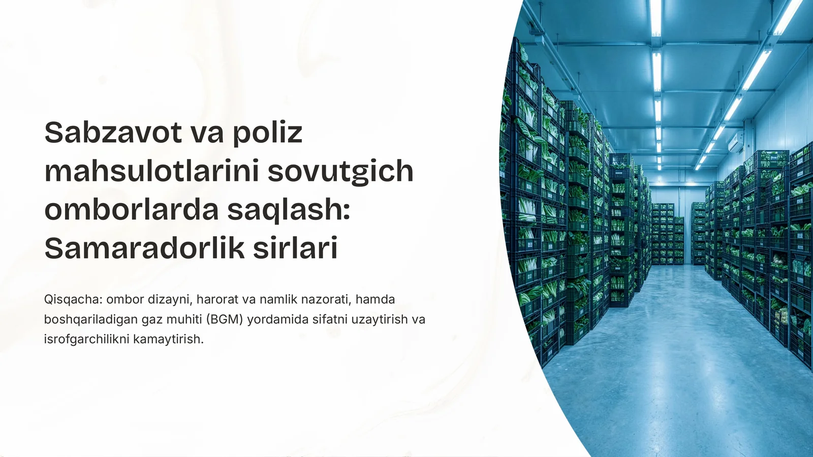 Sabzavot va poliz mahsulotlarini sovutgich omborlarda saqlash: Samaradorlik sirlari